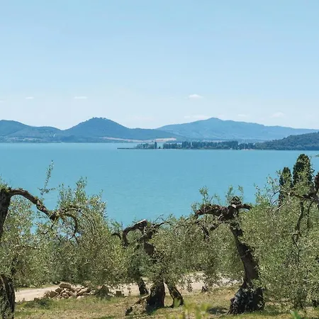 Aurora Castiglione del Lago